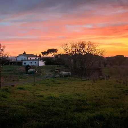 Il Poggio * Vetralla