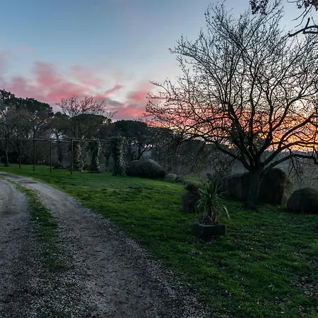 Il Poggio Casa di campagna Vetralla