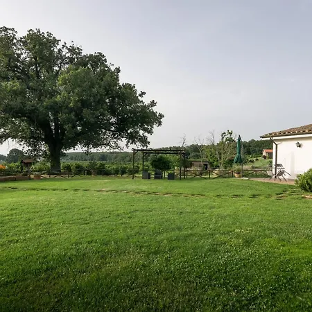 Il Poggio * Vetralla